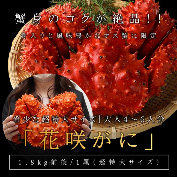 【送料無料】花咲ガニ1.8キロ前後 オス蟹姿造り 身入りパンパン保証付き