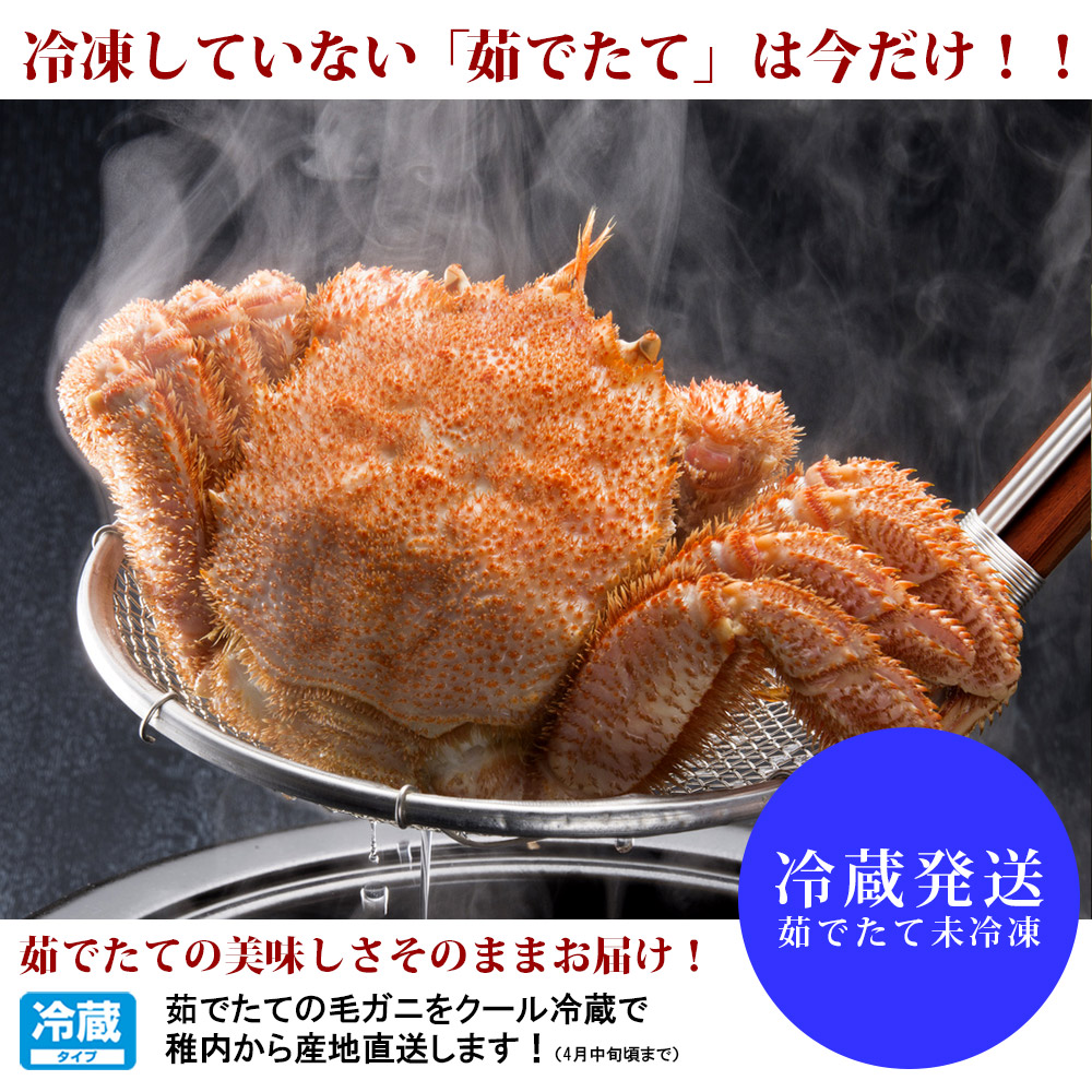 未冷凍毛ガニ