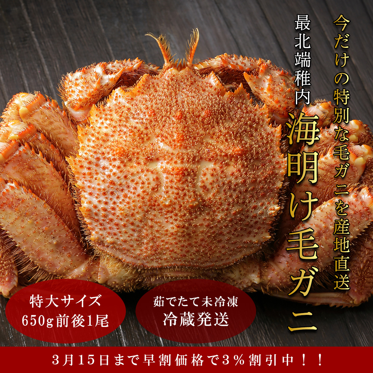 【未冷凍・冷蔵発送】2026年新物 最北端稚内産海明け毛ガニ650グラム×1尾（水揚げ後発送）