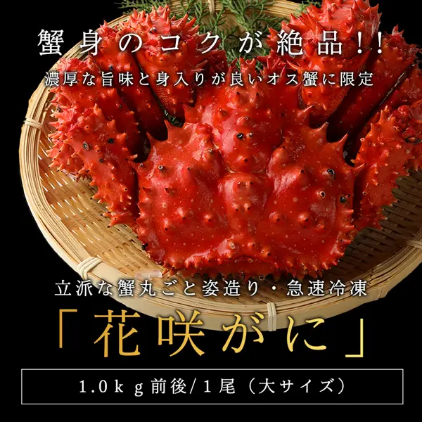 【品質保証付】【送料無料】花咲ガニ 雄堅蟹姿造り1.0kg×1尾