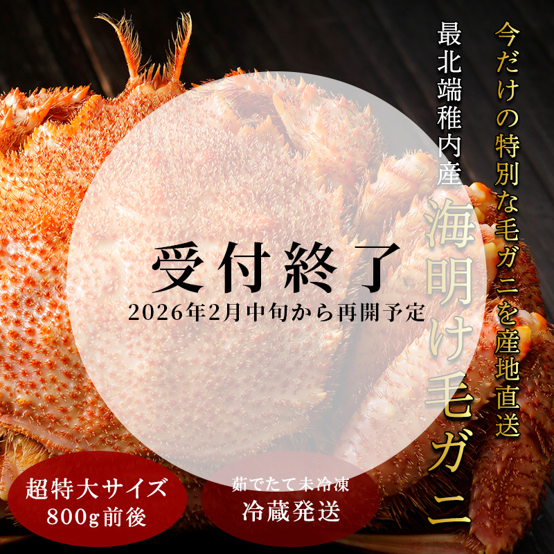 【未冷凍・冷蔵発送】2025年新物 最北端稚内産海明け毛ガニ800グラム前後（4月16日AM8時30分で受付終了）