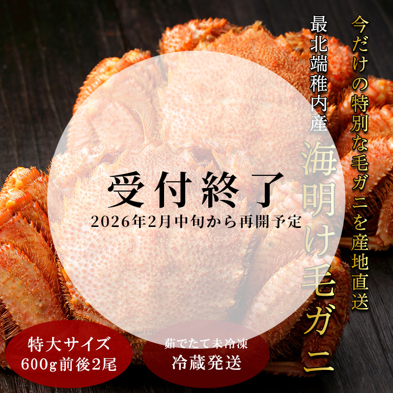 【未冷凍・冷蔵発送】2025年新物 最北端稚内産海明け毛ガニ600グラム×2尾（4月16日AM8時30分で受付終了）