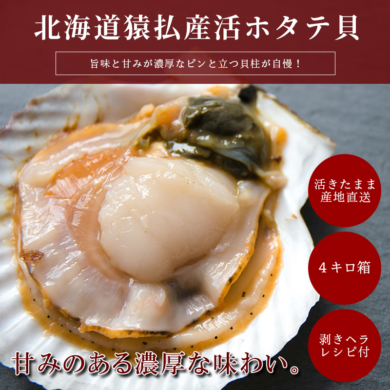 【活きたまま直送】北海道猿払産 活ホタテ貝 約4キロ(16～24枚前後) 送料無料 レシピ＆剥きヘラ付き
