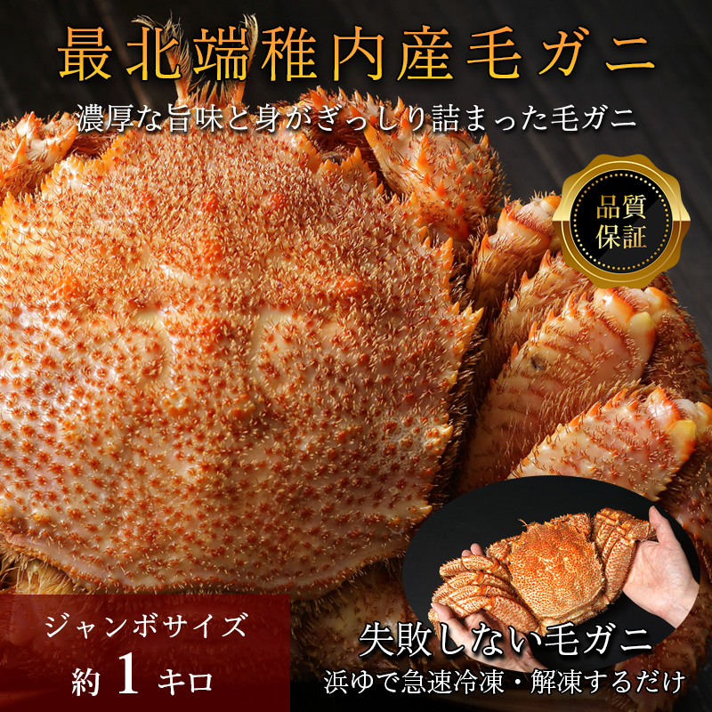 【品質保証付】【送料無料】北海道稚内産 最北端海明け毛ガニ ジャンボサイズ1キロ×1尾（ボイル済急速冷凍）2025年産在庫処分