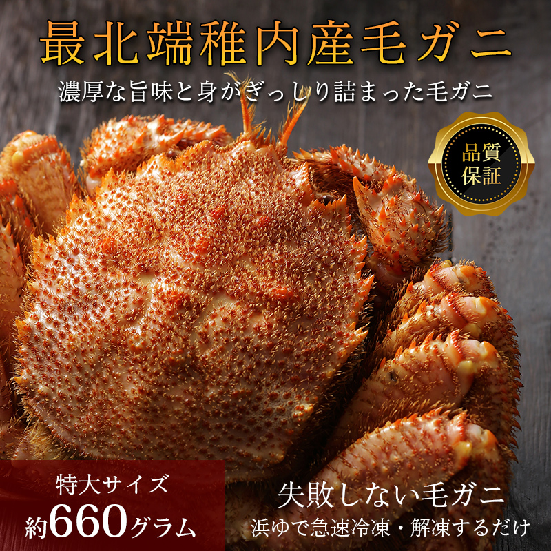 【品質保証付】北海道稚内産 最北端海明け毛ガニ 特大サイズ660g×1尾（ボイル済急速冷凍）2025年産在庫処分