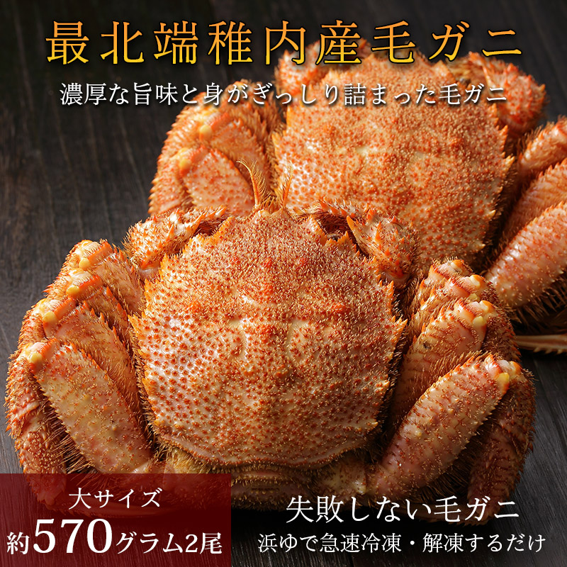 【品質保証付】北海道稚内産毛ガニ570グラム×2尾（ボイル済急速冷凍）