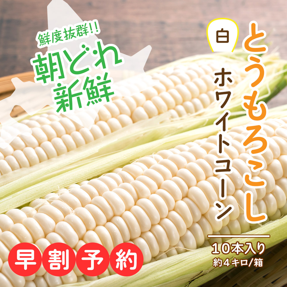北海道産ホワイトコーンピュアホワイト