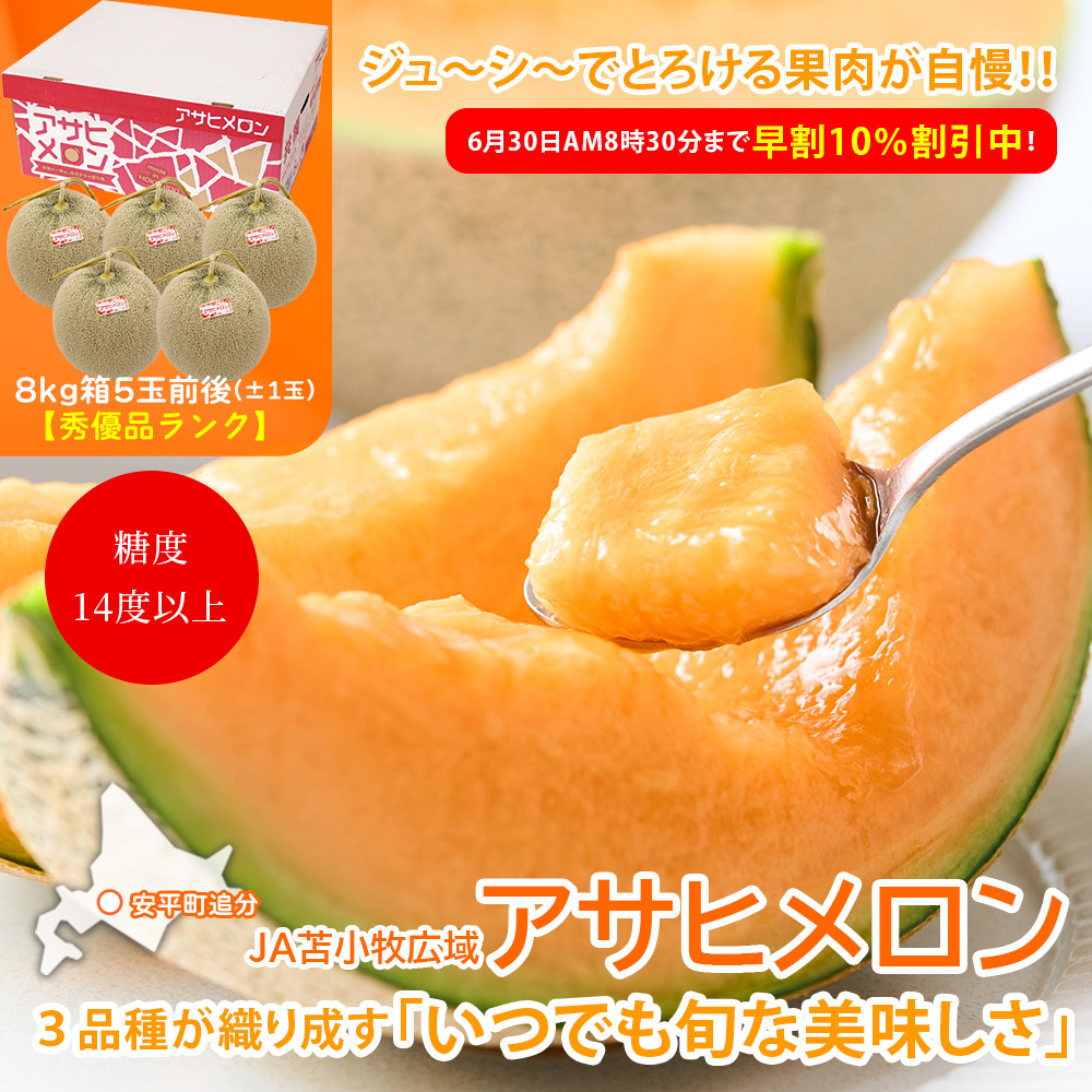 【送料無料】【早割10％割引中】北海道安平追分産アサヒメロン8kg箱5玉前後 秀優品のギフト品質