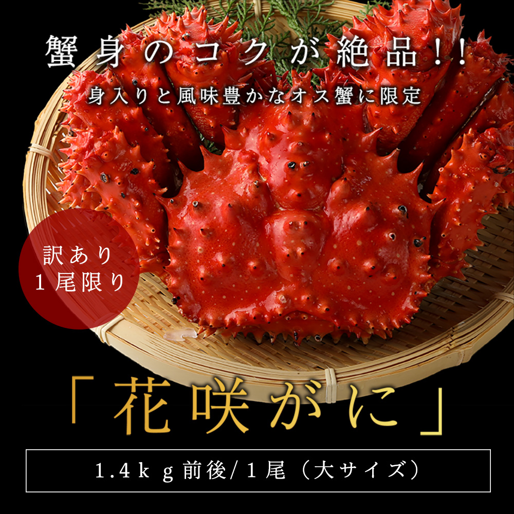 【限定1個】【訳あり】【送料無料】花咲ガニ1.4キロ前後 オス蟹姿造り　甲羅割れ