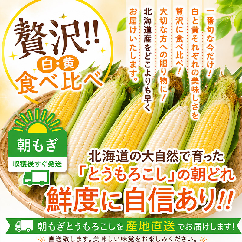 北海道の美味しいとうもろこし