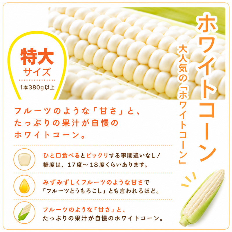とうもろこし通販お取り寄せでランキングTOPの北海道産