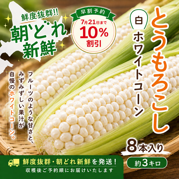 北海道産白いとうもろこし