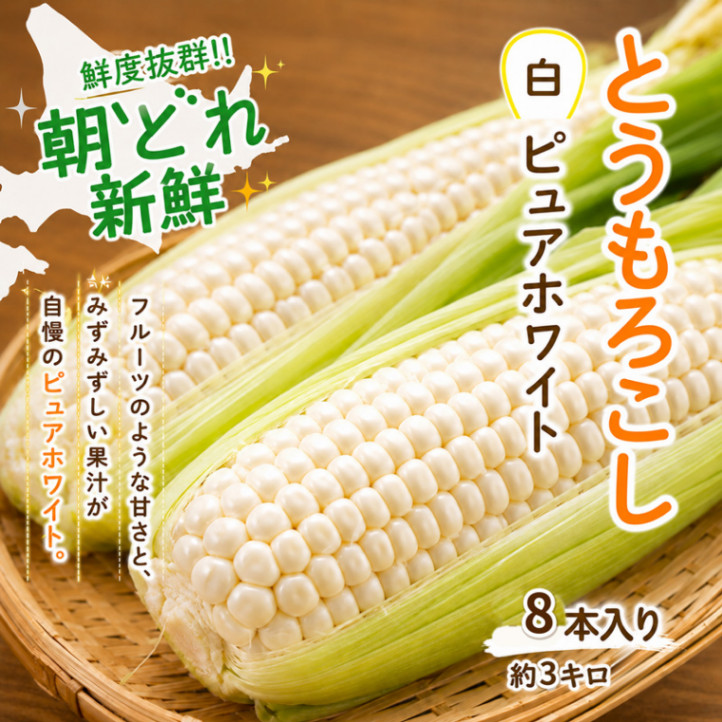 【予約販売】北海道産フルーツとうもろこし ホワイトコーン8本入 大人気の白いとうもろこし!