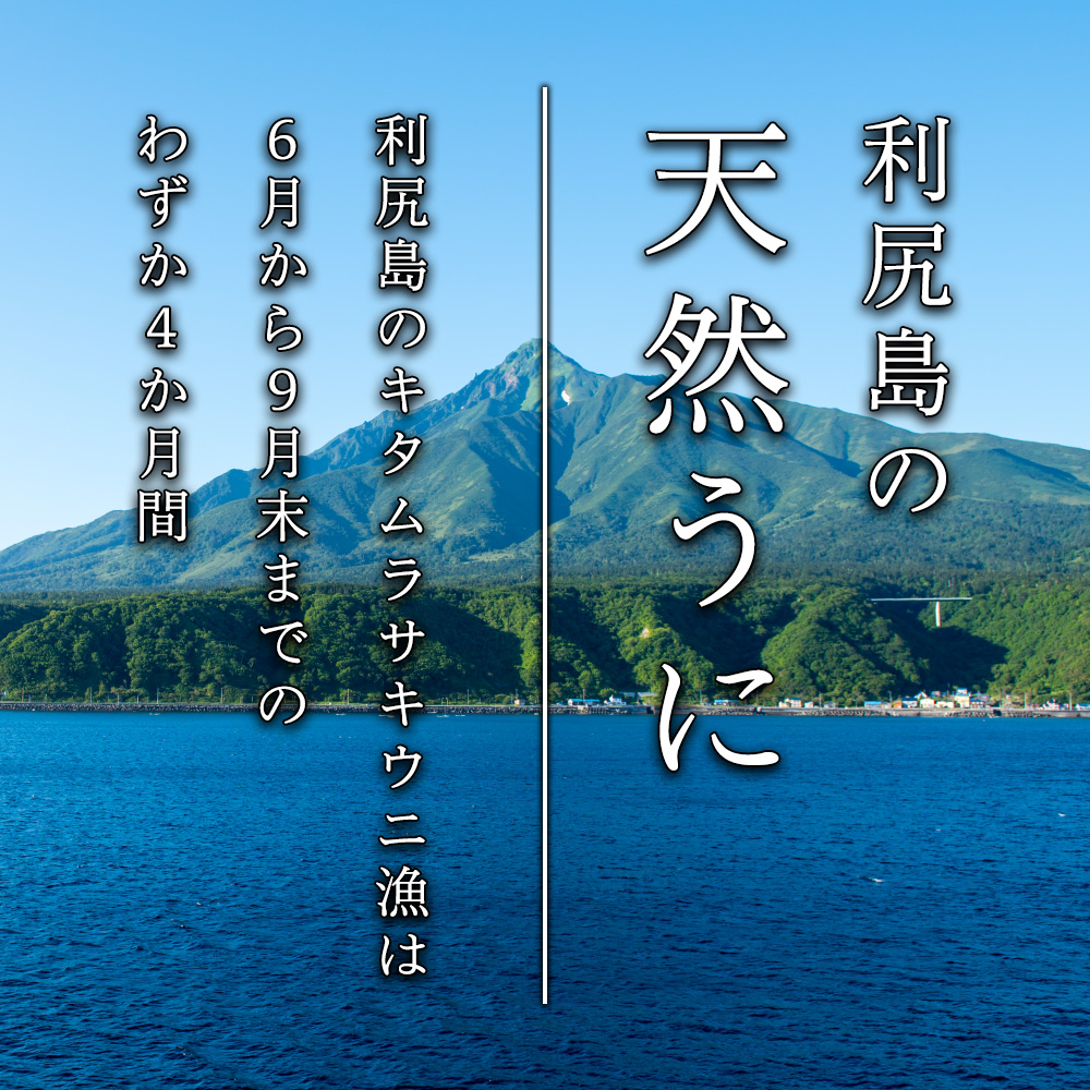北海道利尻島の海水ウニ