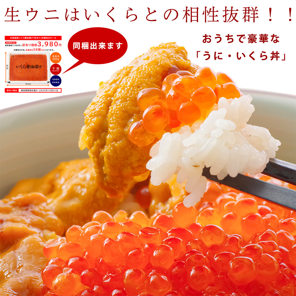 うに・いくら丼
