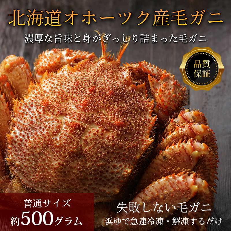 【品質保証付】北海道オホーツク産毛ガニ 500g×1尾（ボイル済急速冷凍）
