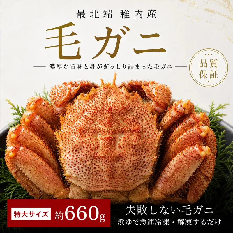 品質保証付】【送料無料】北海道稚内産 最北端海明け毛ガニ800g 超特大