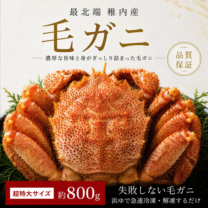 品質保証付】【送料無料】北海道稚内産 最北端海明け毛ガニ800g 超特大