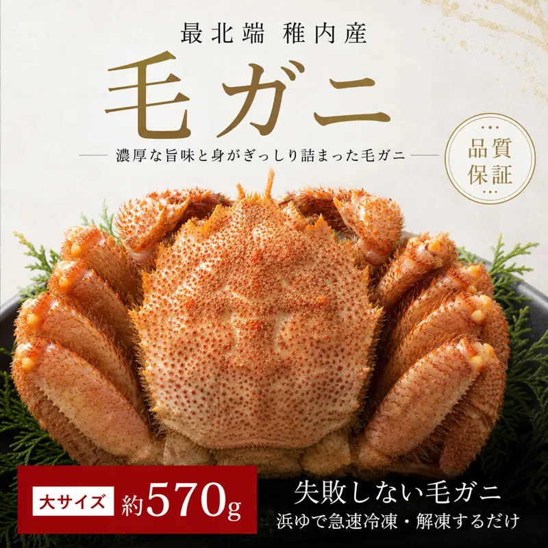 品質保証付】【送料無料】北海道稚内産 最北端海明け毛ガニ800g 超特大