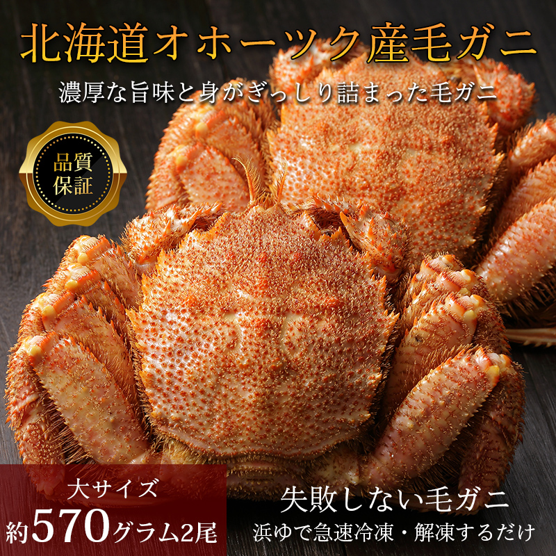 【品質保証付】北海道オホーツク産毛ガニ570グラム×2尾（ボイル済急速冷凍）