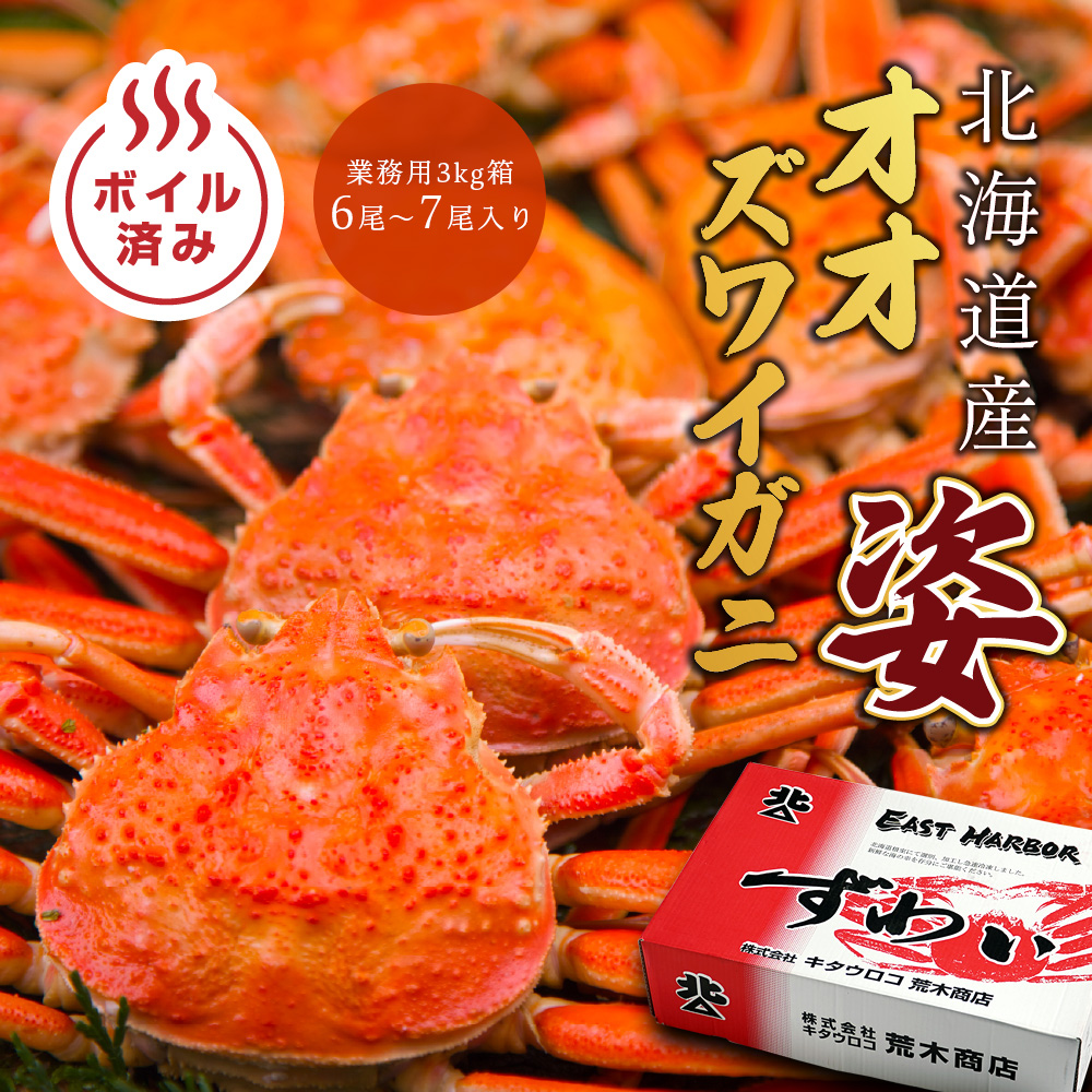 【早割】【送料無料】北海道産オオズワイガニ姿造り業務用3kg箱（6～7尾）