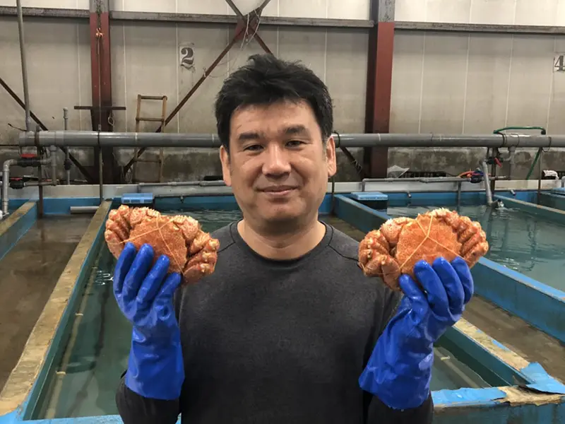 水槽の前で毛ガニを2尾持ち上げて見せるスタッフ