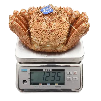 解凍後の1kgの毛ガニをはかりにのせた様子（実測1,235g）