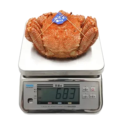 解凍後の660gの毛ガニをはかりにのせた様子（実測683g）
