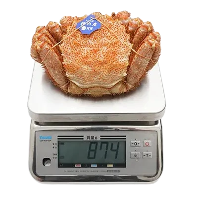 解凍後の800gの毛ガニをはかりにのせた様子（実測874g）