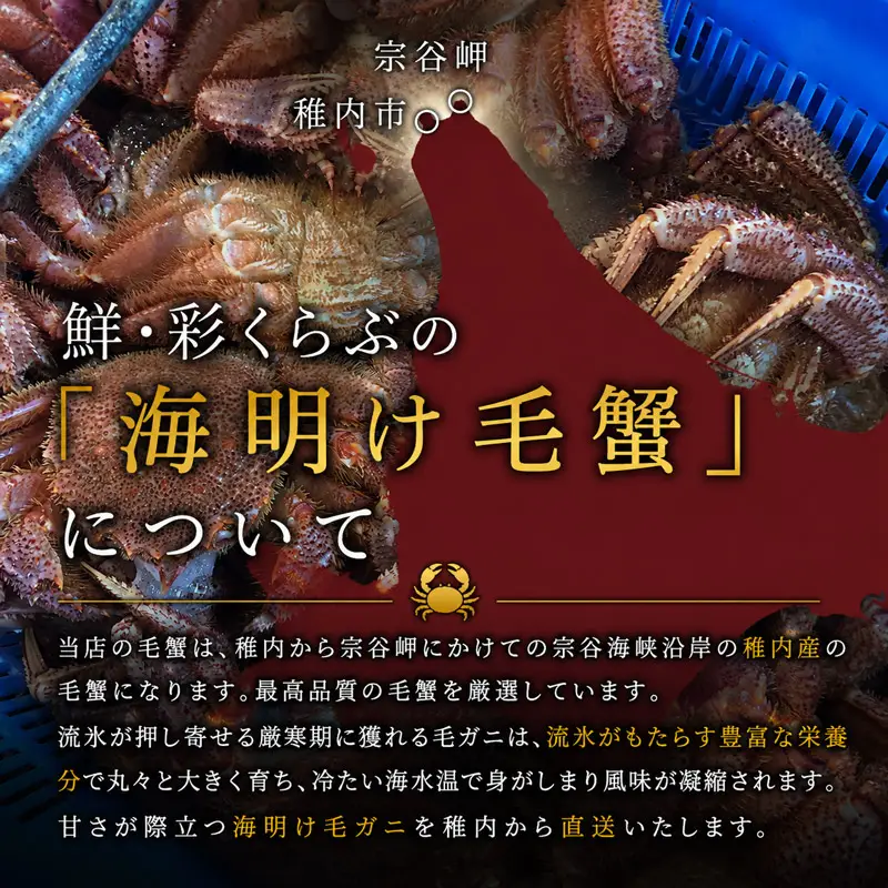 品質保証付】【送料無料】北海道稚内産 最北端海明け毛ガニ1kg 超超