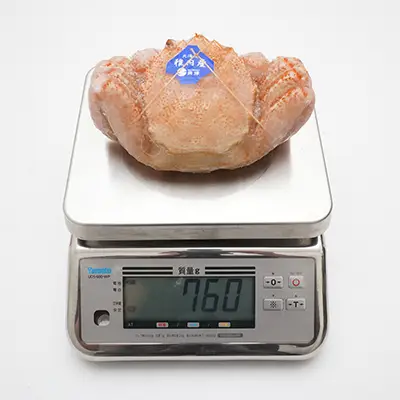 大サイズ570g毛ガニの冷凍状態、撮影個体の実測値760g