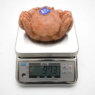 特大サイズ660g毛ガニの冷凍状態、撮影個体の実測値973g