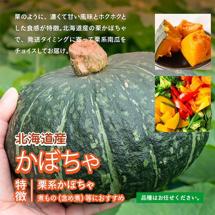 北海道産栗系かぼちゃ