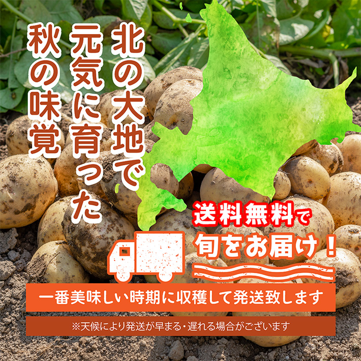 北海道の秋野菜セットを直送します。