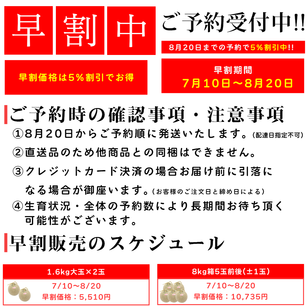 北海道安平町追分産アサヒメロン