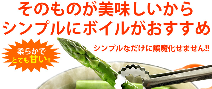 グリーンアスパラの通販なら鮮・彩くらぶで!北海道産グリーンアスパラの極太サイズを早割予約販売中!