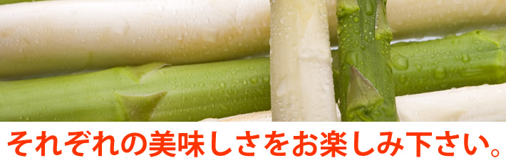 北海道産のグリーンアスパラは、甘くて柔らか。素材そのものが美味しいから、シンプルにさっとゆで上げた状態で!