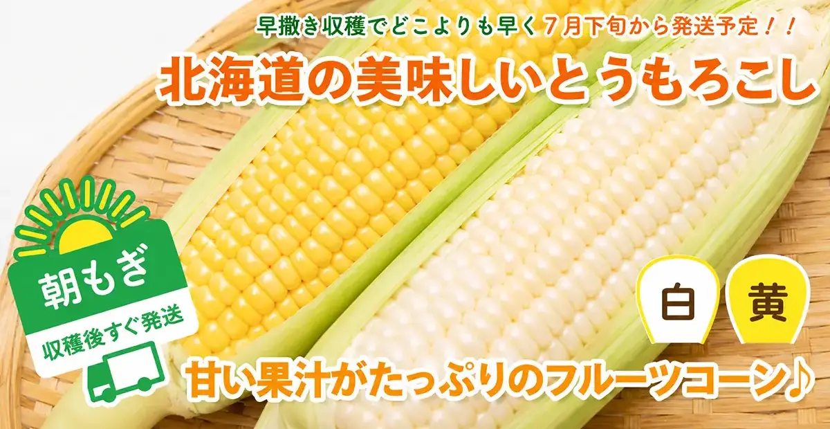 北海道産とうもろこし食べ比べセットの通販ページへのリンクバナー