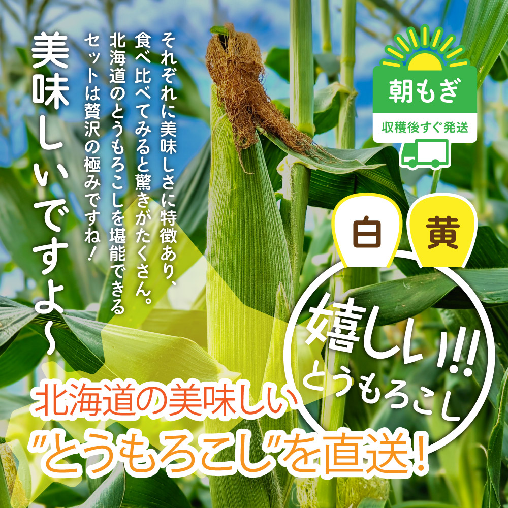 北海道産とうもろこし早割価格でお得