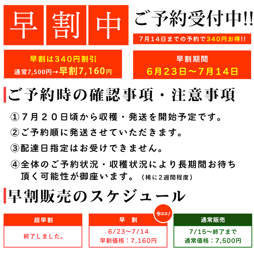 北海道産ゴールドラッシュor味来