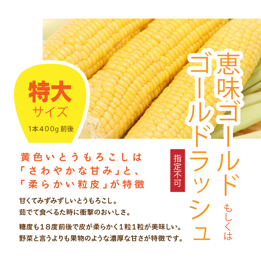 北海道産とうもろこしの通販で大人気