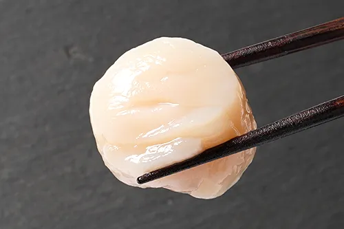 大サイズのホタテ貝柱の大きさ