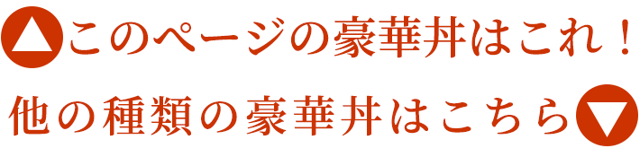 選べる5種類の海鮮丼