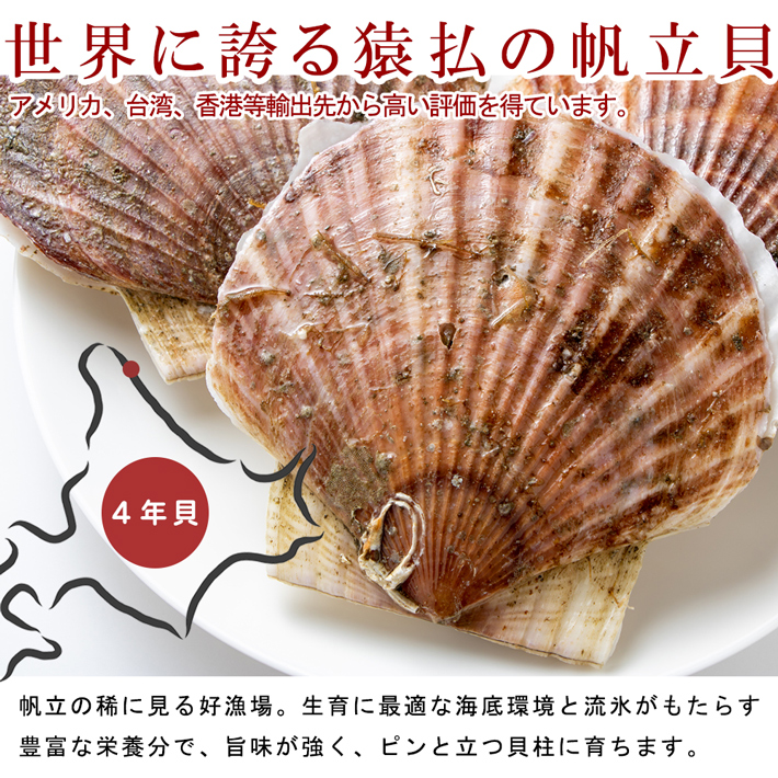 北海道の旬な時期の美味しいホタテ貝