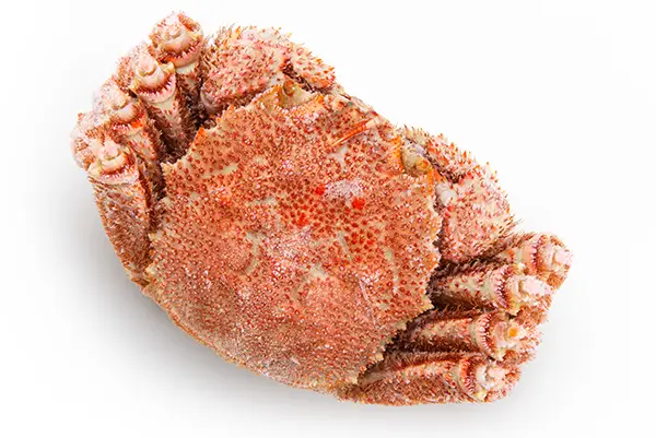 毛ガニの正味重量と冷凍状態重量