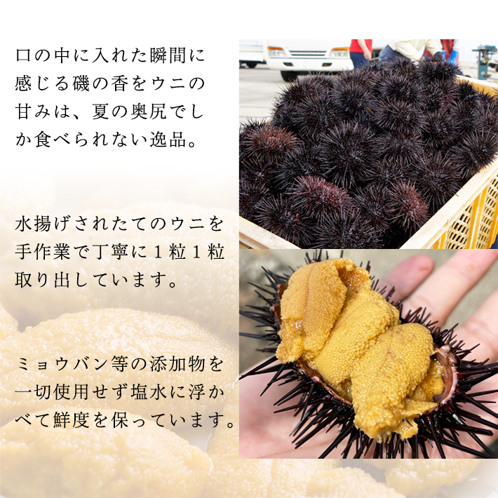 奥尻島のウニはなぜ美味しいのか?