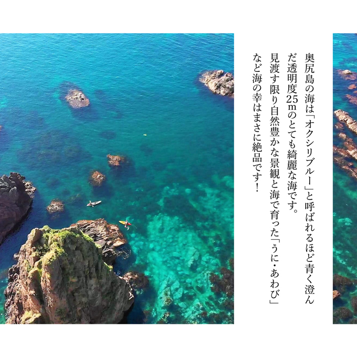 奥尻島の綺麗な海で獲れたムラサキウニ