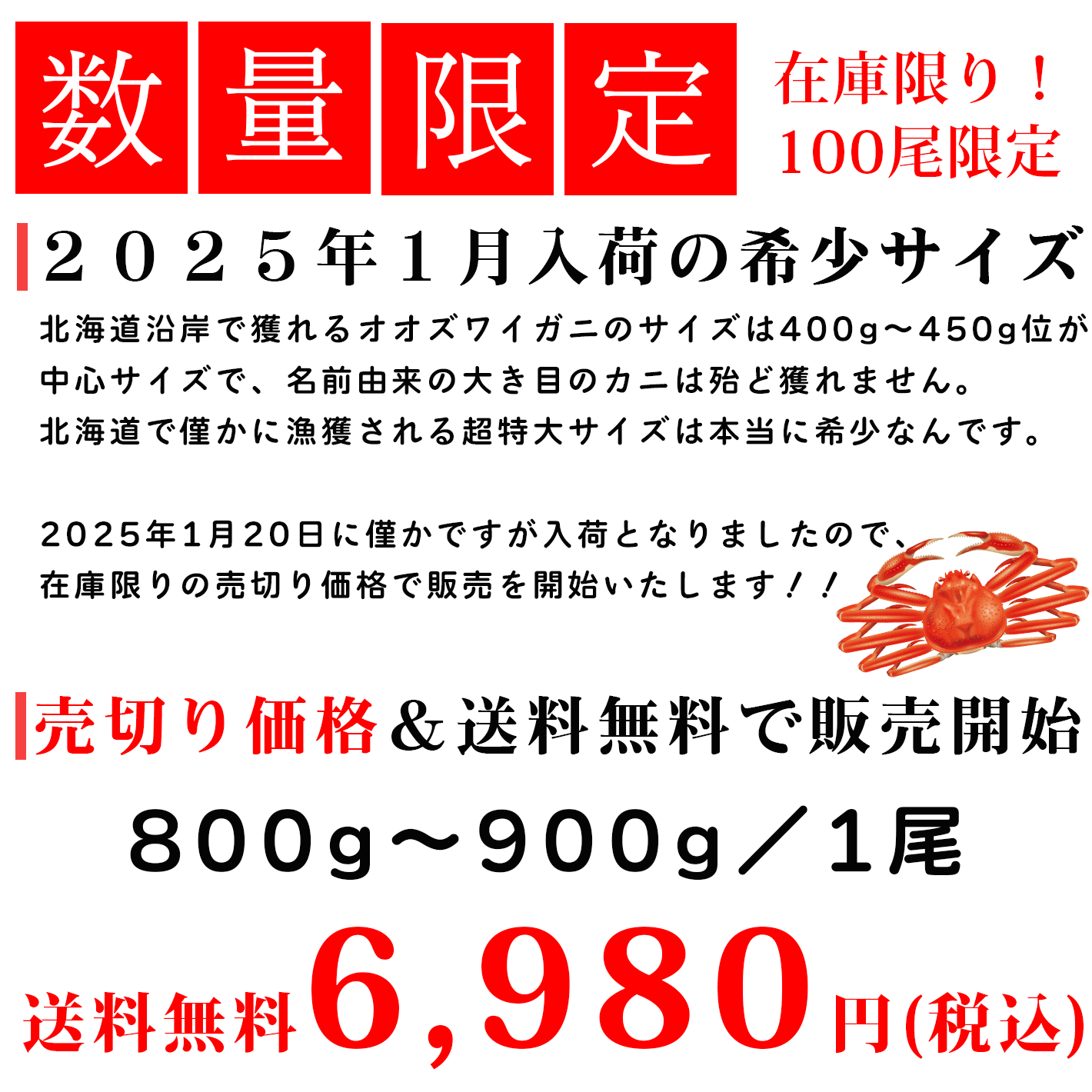 浜ゆでオオズワイガニを急速冷凍