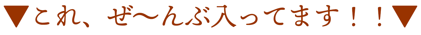 お試しセット