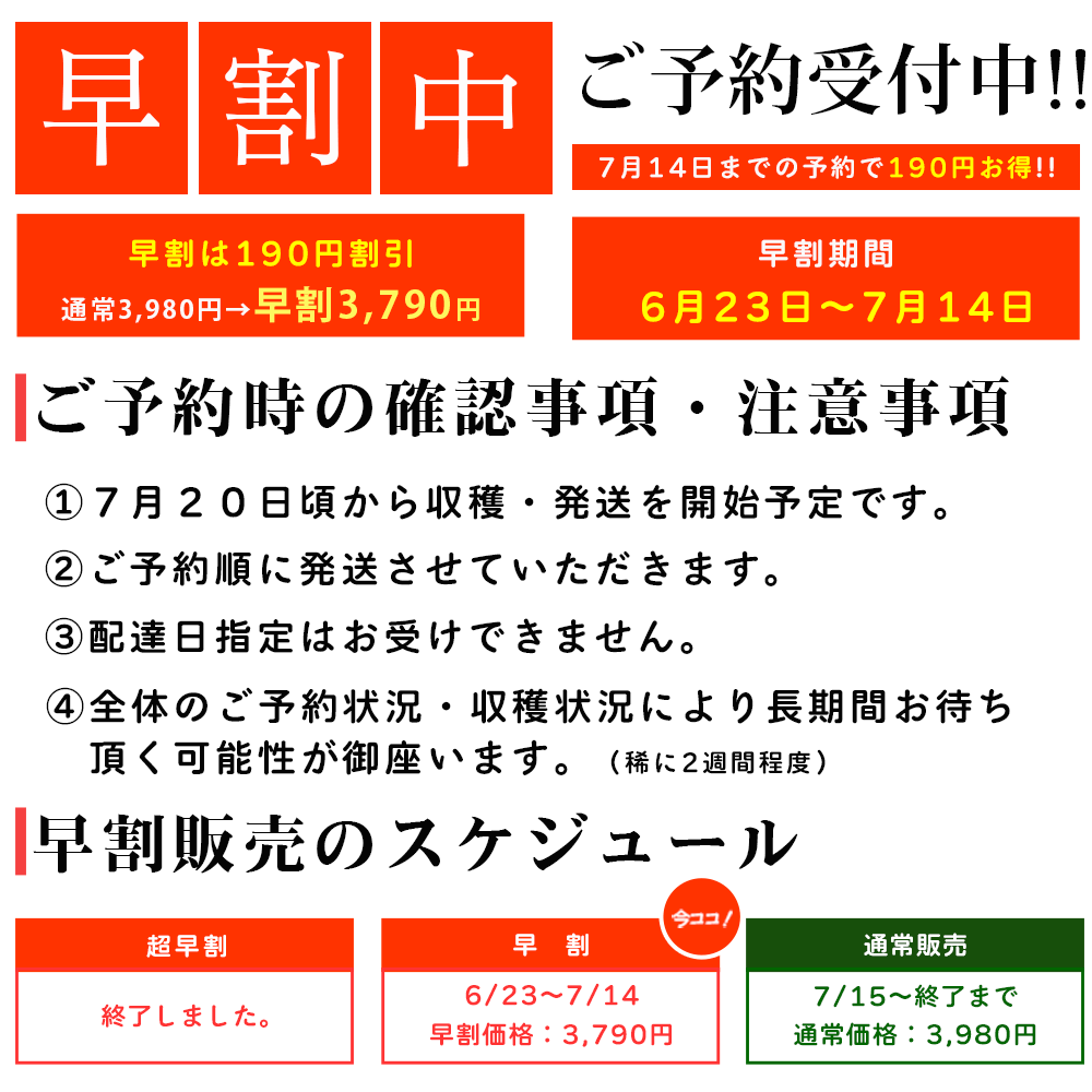 通販で大人気の北海道産朝もぎ白いとうもろこし「ホワイトコーン」